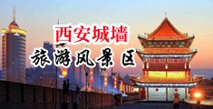 插逼叼嗨视频中国陕西-西安城墙旅游风景区