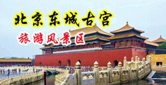 插入淫穴,爽歪歪中国北京-东城古宫旅游风景区